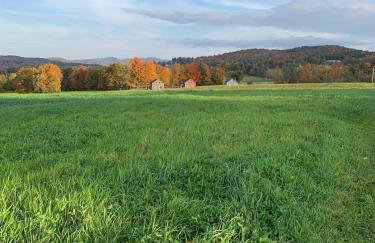 Sugar House Cottage close to Smugglers Notch - Foto 15