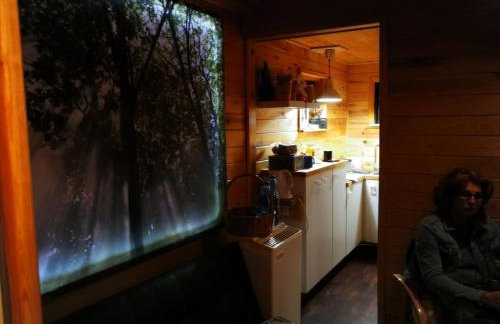 domki domek na jeziorem Wilczyńskim Budzisławskim , las, osobno ogrodzony 2-6 osób- klimatyzacja, ogrzewanie, 62-550 Zygmuntowo gm Wilczyn - Foto 39