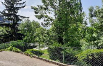 El Estudio de Buenavista - Photo 20