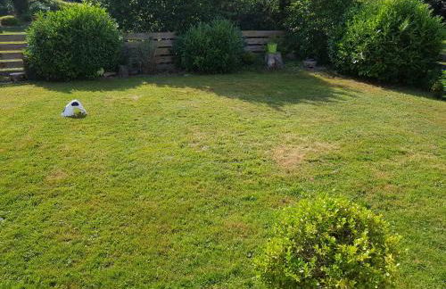 Jules Traum im Schwarzwald - Foto 49