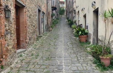 Il gatto e la volpe 1 - Foto 20