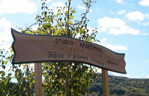 Holiday home Hižica v plavem trnacu - Foto 11