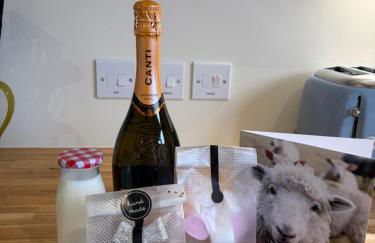 Ty Beti at Gorlan yr Efail Shepherds Hut with Private Hot Tub - Foto 5