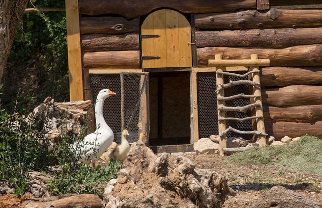 Agriturismo Le Anfore - Foto 47