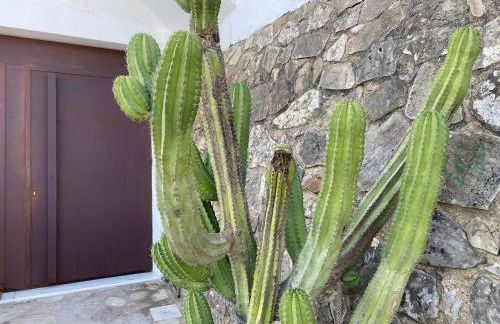 Alojamiento Armenia Patio - Foto 49