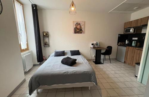 Au 15 - Charmant Studio hyper centre - Foto 1