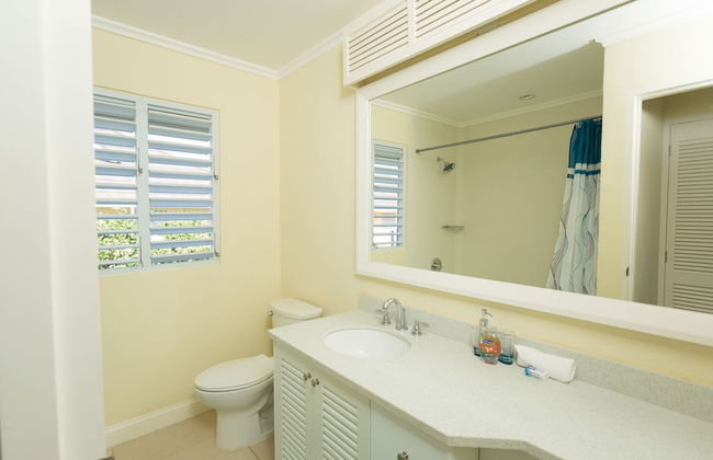 Ocho Rios Villa at Coolshade III - Photo 30