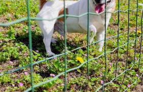 Casa Betty - Photo 32