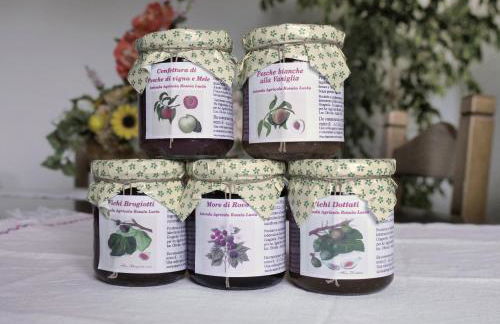 Forni Rosaia - Foto 37