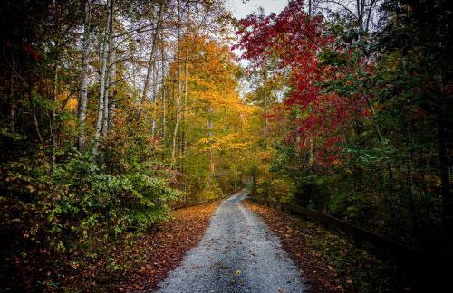 Indoor Pool and Golf Course Views Lake Lure Condo! - Foto 41