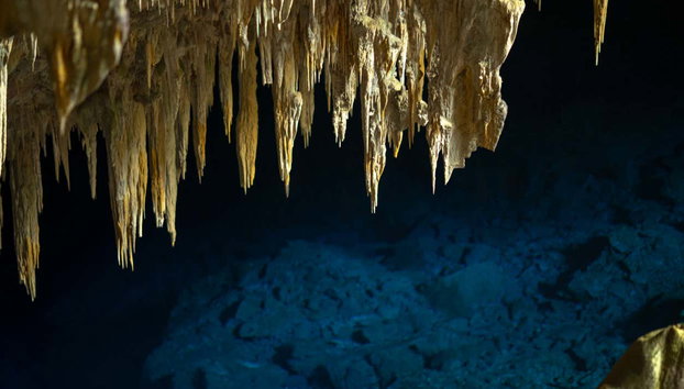 Visite guidée dans la grotte du Lac Bleu - Photo 5, Stalactites du Lac bleu