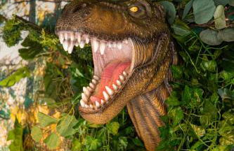 Jurassique Appart - Foto 9