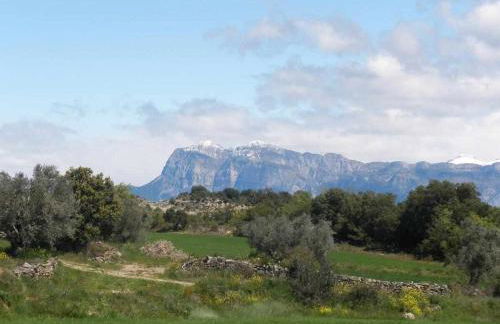 El Corral de Villacampa - Foto 35