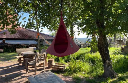 Das Falken Nest - Foto 40