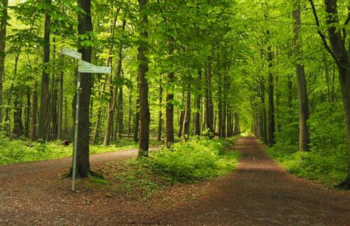 NordseeNest Varel - Foto 14