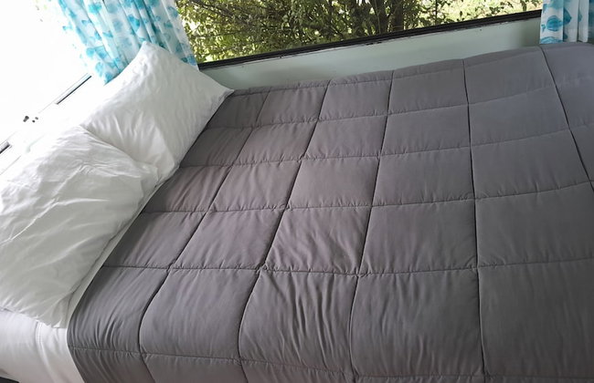 Dickson Holiday Park - Foto 28