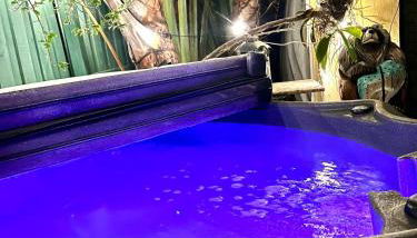 Tango Mango House with Private Hot Tub - Foto 4