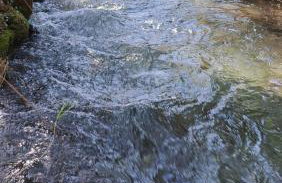 Wood Cabins by the River - for Nature Lovers - Photo 21