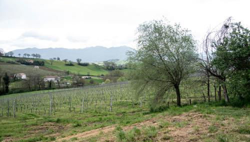 Casale Godenza - Foto 4