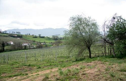 Casale Godenza - Foto 4