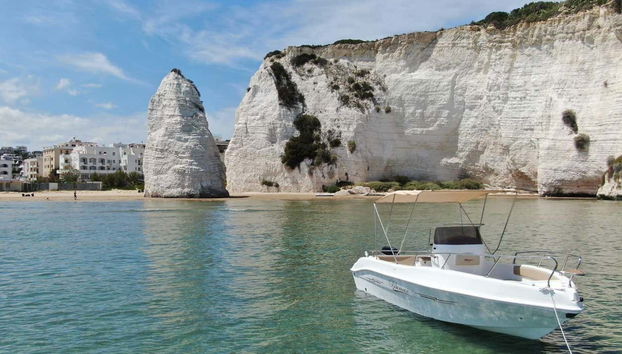 Boat Rental with Skipper in Vieste - Photo 2