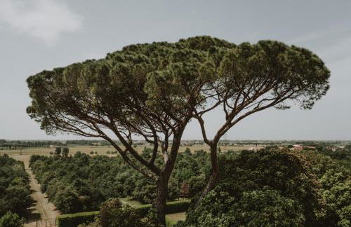 Agriturismo Villa Rosselmini - Foto 18