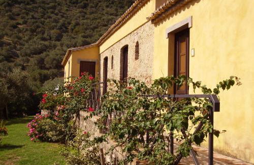 Azienda Agrituristica Le Puzelle - Photo 127