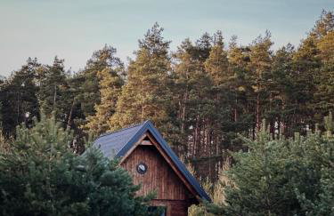 Sosnowe Domki - Photo 33