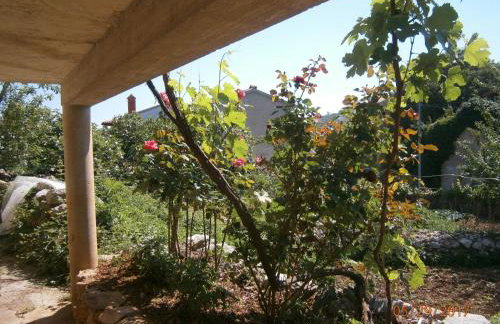 Holiday Home Loznati - Foto 44