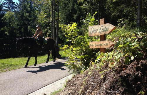 La Lince Lodge - Foto 29