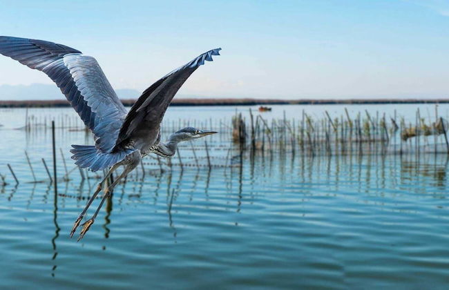 Albufera Dreams Nature Suites - Foto 43