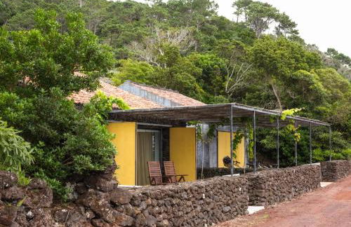 Casas do Amarelo - Photo 10
