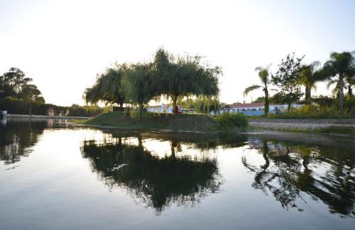 Herdade do Sardanito da Frente - Foto 72