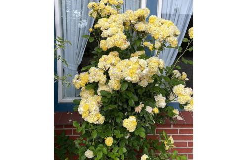 Nice Apartment in Dagebull-kirche - Foto 43