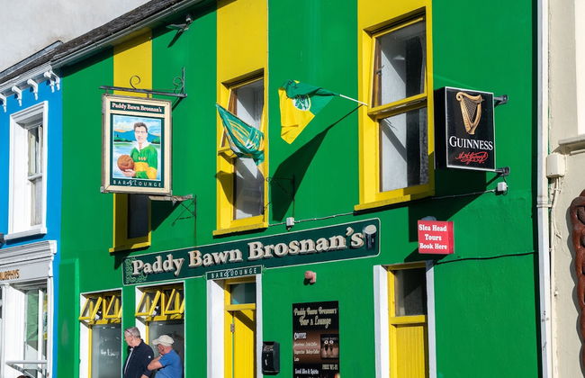 Dingle Harbour Cottages - Foto 33