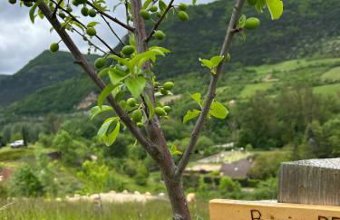 Lechappee des causses - Photo 38