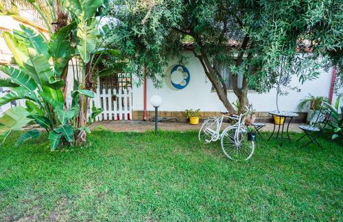 Geko's House - Foto 39