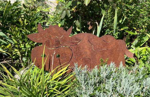 Ferienwohnung Wohlmann - Foto 16