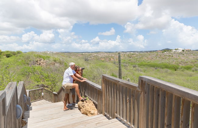 Morena Resort - Foto 64