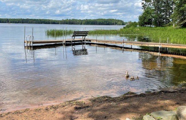 Butler's Bay Teal Lake Cabin - Photo 30