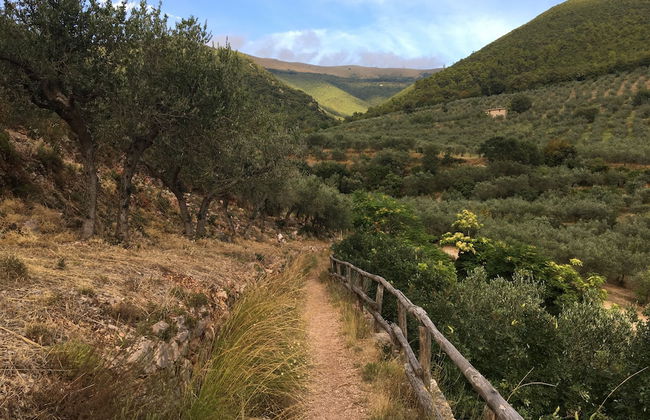 Setter House Agri Hotel - Foto 59