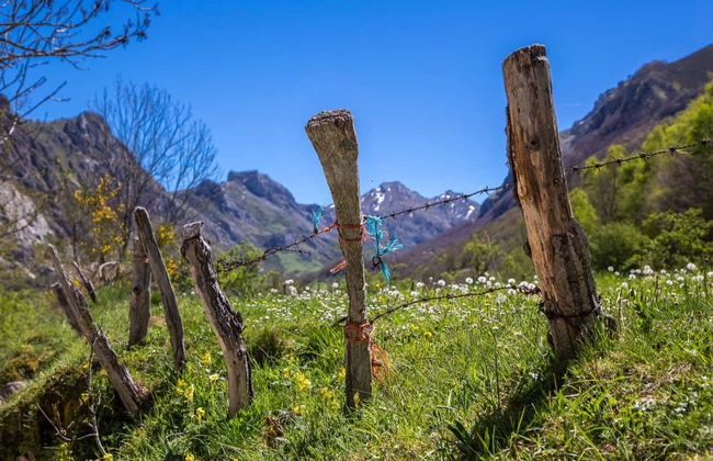 Escursione al Parco Naturale di Somiedo - Foto 1