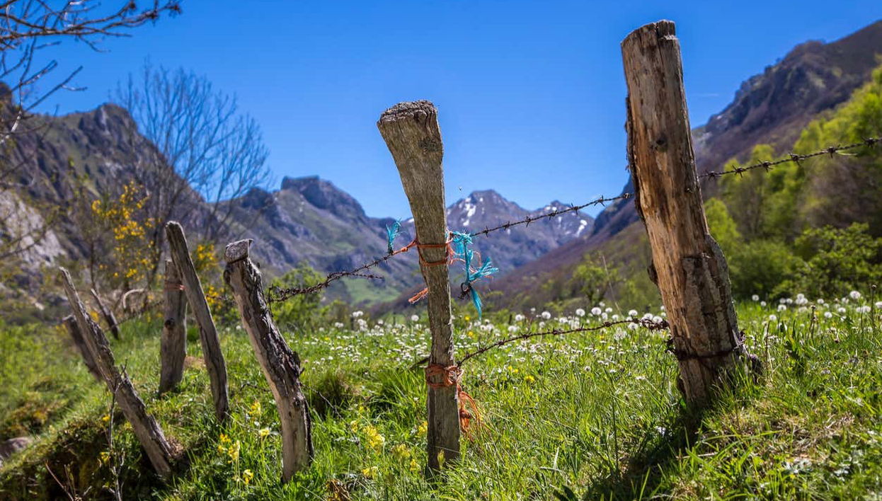 Enjoying the beauty of Asturian nature