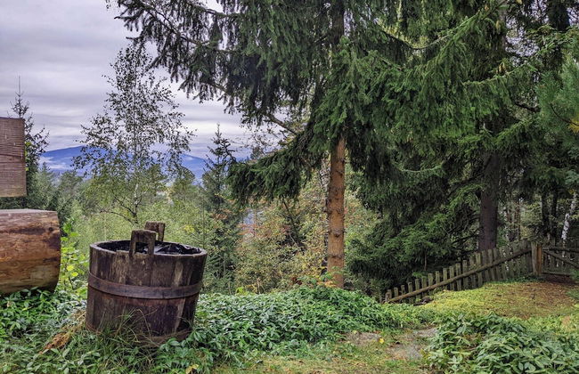 Holiday Home in Edlitz Near Ski Slopes - Foto 32