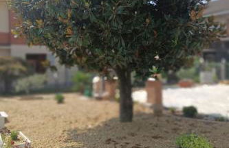 Apartment Lucà Wohnungen mit Bergblick by Interhome - Foto 24