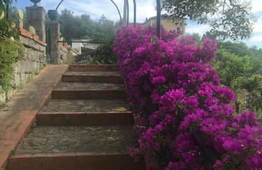 Villa San Francesco - Foto 29