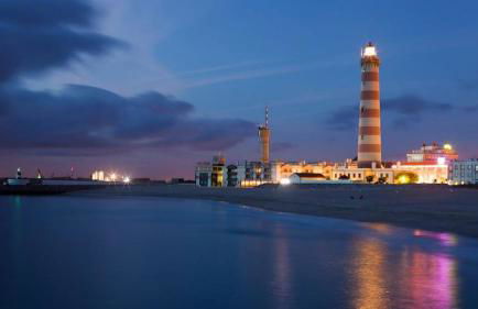 Bird’s Home - Foto 63