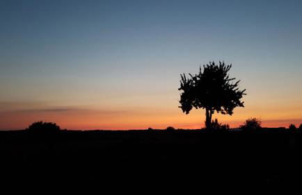 Ferienwohnung "Am Grün" - Photo 13