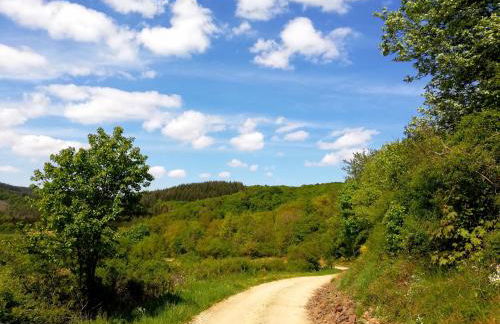 Eifelhäuschen am See - Foto 34