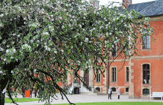 Budget-wohnung in Grundshagen mit Gartensitzplatz - Foto 49